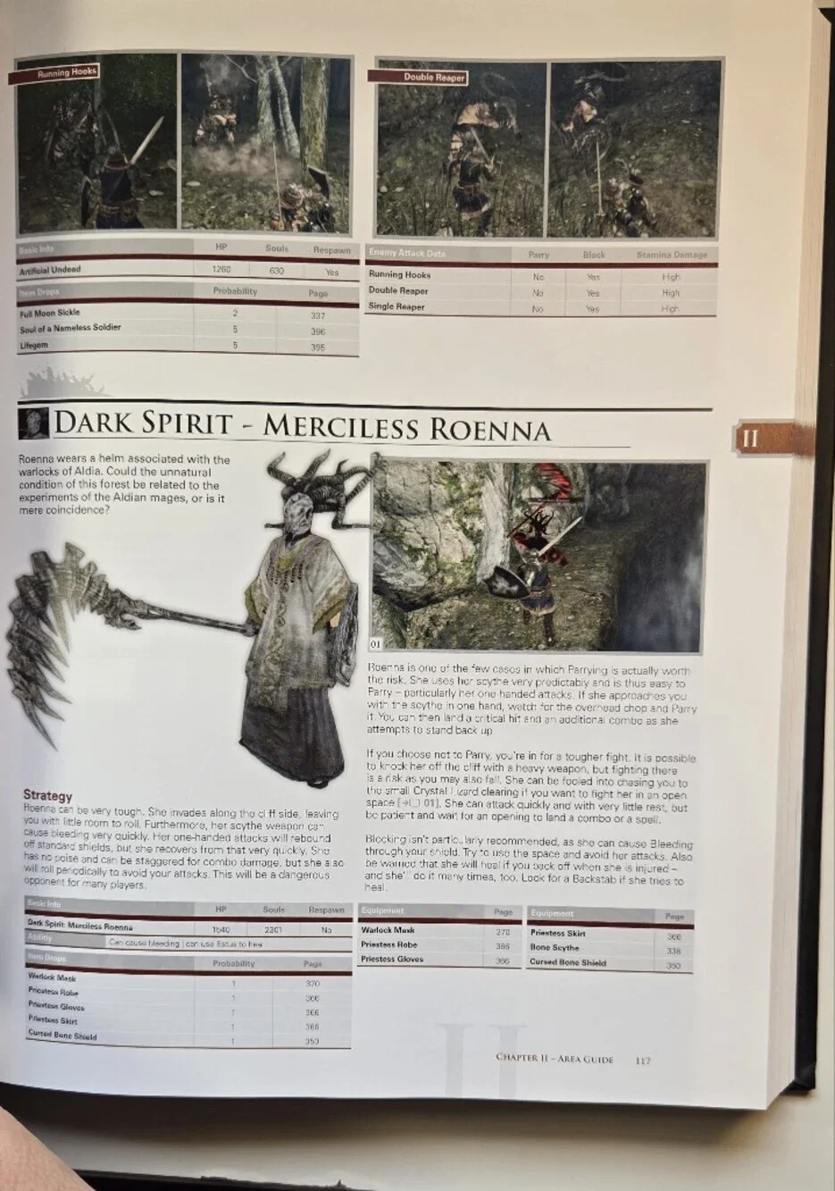 Dark Souls II Collector's Edition Game Guide